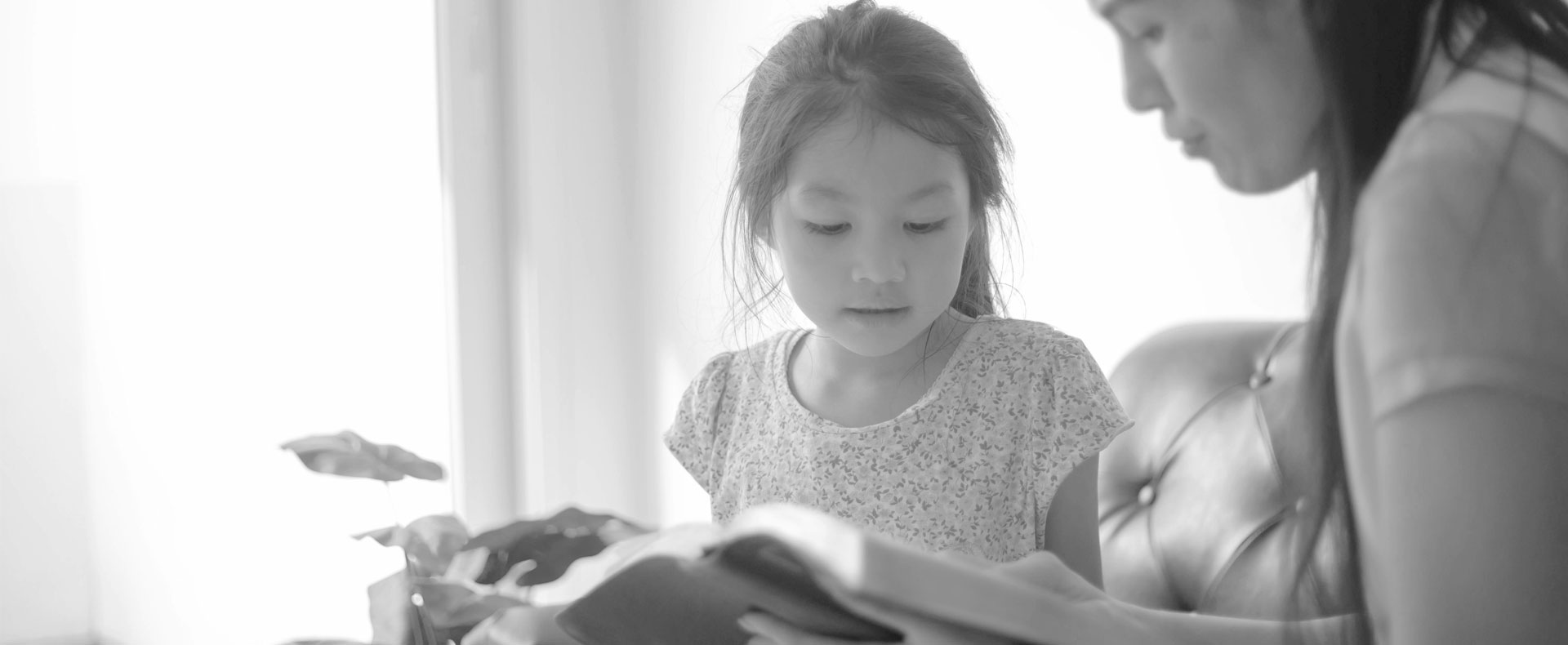 Guardianships & Conservatorships
